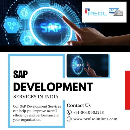 SAP Development Services in India (1) SAP Development Services in India (1)