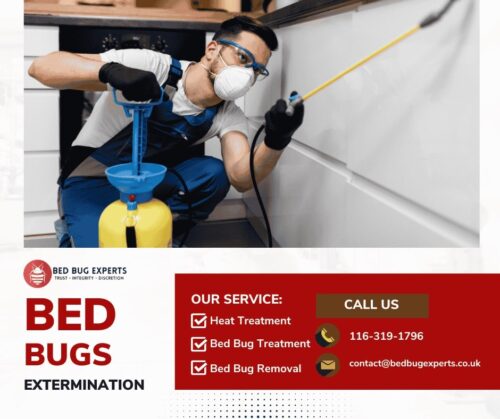 bed bugs extermination bed bugs extermination