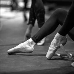 Adult Gymnastics Classes near me