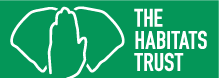 logo (3)