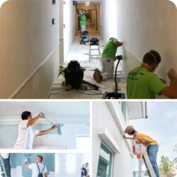 painters-in-surry-hills