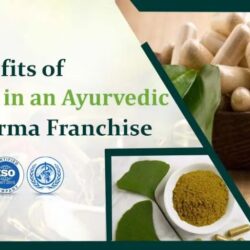 Investing-in-an-Ayurvedic-PCD-Pharma-Franchise