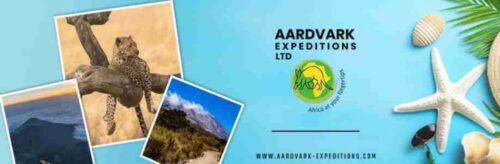 aardvark cover aardvark cover