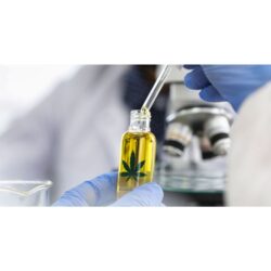 Cannabis equipment financing