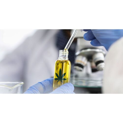 Cannabis equipment financing Cannabis equipment financing