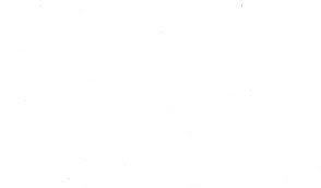 WHITE WHITE