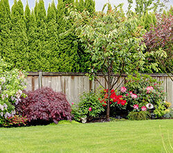landscaping,