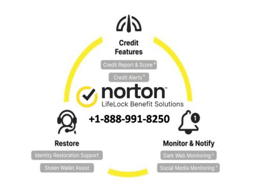 norton norton