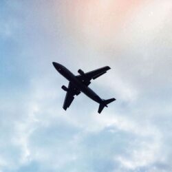 Allegiant Air LAS Terminal (5)
