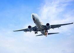 flight