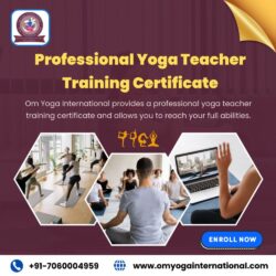 Professional Yoga Teacher Training Certificate