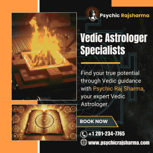 Vedic Astrologer Specialists Vedic Astrologer Specialists