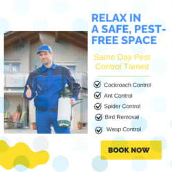Same Day Pest Control Tarneit (3)