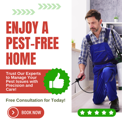 Same Day Pest Control Footscray Same Day Pest Control Footscray