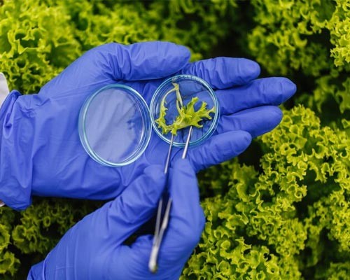 microbiology-0605240159363 microbiology-0605240159363