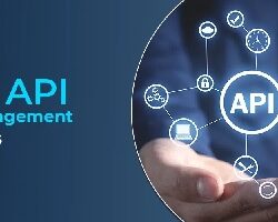 api management tools