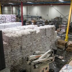 paper pulp