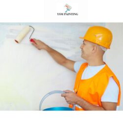 Sunshine Coast Painter
