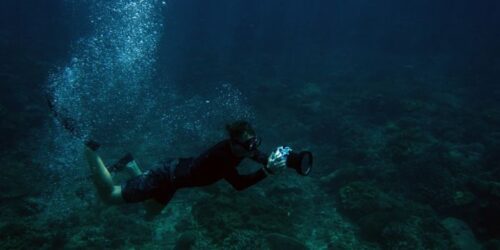 Diving in Mallorca Diving in Mallorca