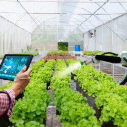 Greenhouse Management Software