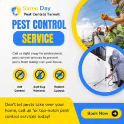 Same Day Pest Control Tarneit