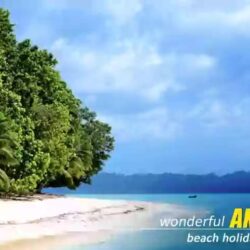 book-andaman-package-tour-from-kolkata