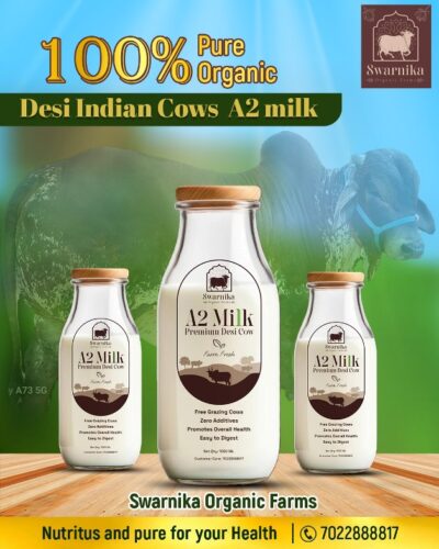 organic milk 1200 organic milk 1200