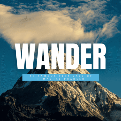 WANDER (1) WANDER (1)