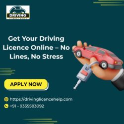 Get Your Driving Licence Online – No Lines, No Stress