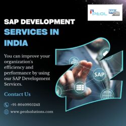 SAP Development Services in India (1)