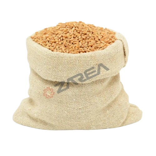 Wheat-removebg-preview Wheat-removebg-preview