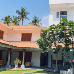 View-from-Lawn