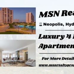 MSN Realty