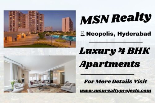 MSN Realty MSN Realty