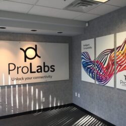 ProLabs-Lobby-e1512078618594-768x576-1 (4)