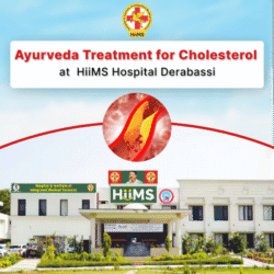 Ayurveda Treatment for Cholesterol