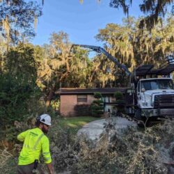Tree+Removal+and+Tree+Trimming-2880w