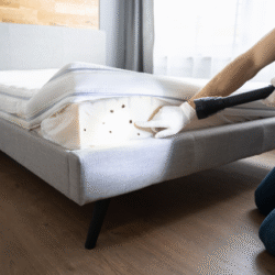 Bed Bug Expert1