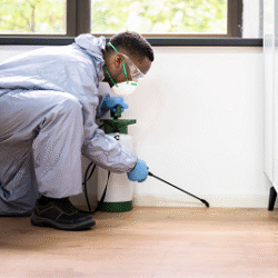 pest-control-sanitization
