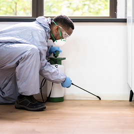 pest-control-sanitization pest-control-sanitization