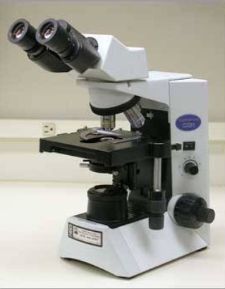 Polarizing Microscope Polarizing Microscope