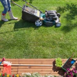 Lawn Maintenance Services in Everett