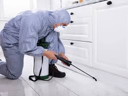 residential pest control services Langley residential pest control services Langley