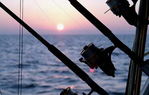 fishing fishing