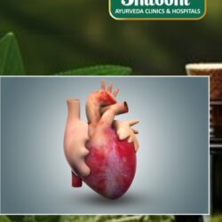 Effective Ayurvedic Heart Treatment in Purnia – Shuddhi Clinic