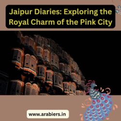 Jaipur Diaries Exploring the Royal Charm of the Pink City