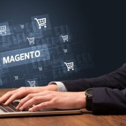 magento website development