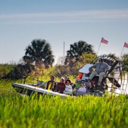 kissimmee-RG5_7290-1-_32894B58-F0ED-29B8-76AB5089DAE13766-328942bbb8023ca_3289567e-c609-adbd-c7c7be7df68e7885