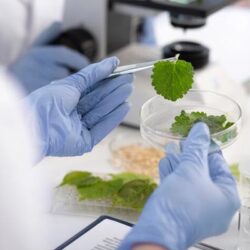biotech-06052402151045