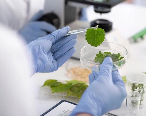 biotech-06052402151045 biotech-06052402151045